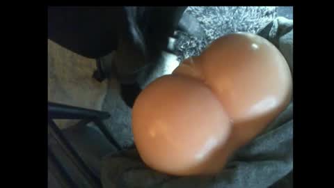 Snapshot of ilikesexyladys chatting on 03/09/25, 11:25 ilikesexyLadys online show from 03/09/25, 11:25