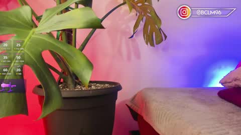 Bryan online show from 02/12/25, 05:47