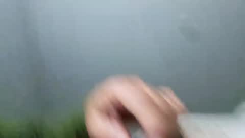im_free_0121 online show from 11/02/25, 11:45