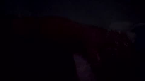 im_free_0121 online show from 06/30/26, 10:38