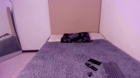 Perseo - Help me with 50 thumbs up online show from 02/26/26, 07:46