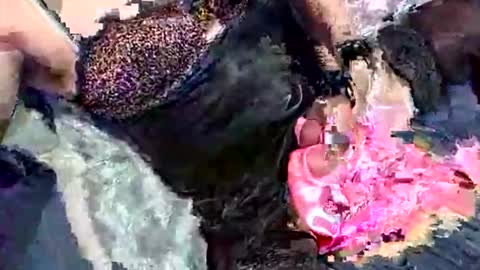 imabigolperv online show from 03/02/26, 02:03