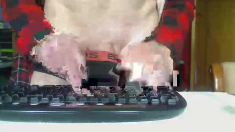 Aussie Guy online show from 10/21/25, 12:33