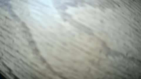 imyobes online show from 01/15/26, 03:49