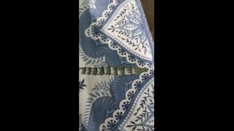 Indian desi6969 online show from 03/30/26, 07:26