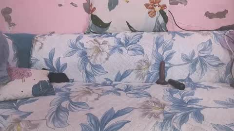 Parul online show from 02/01/26, 10:47