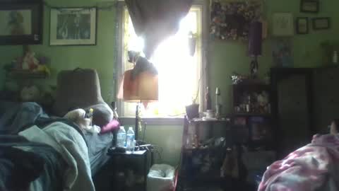 indigo_scorpio online show from 02/05/25, 06:48