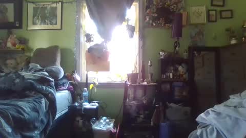 indigo_scorpio online show from 02/21/25, 06:59