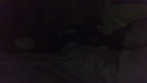 indigo_scorpio online show from 02/22/25, 11:24