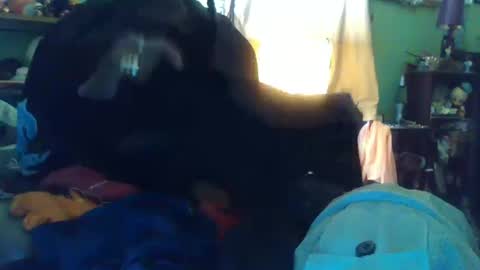 indigo_scorpio online show from 10/13/25, 10:10