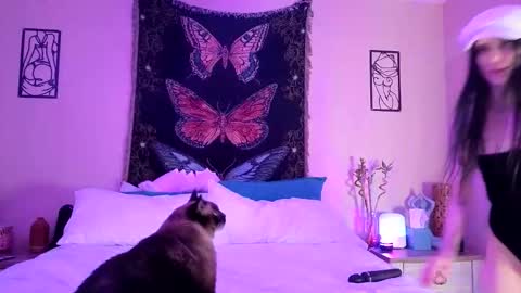 Indigo Bay online show from 02/03/26, 05:05