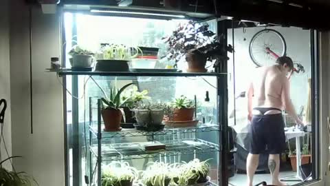 Snapshot of indigolvr chatting on 06/15/26, 07:38 BroLOU online show from 06/15/26, 07:38