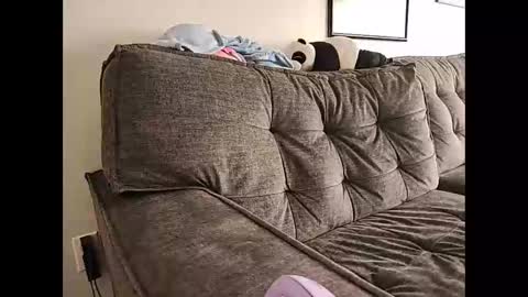 Indigo Star online show from 02/14/25, 08:48