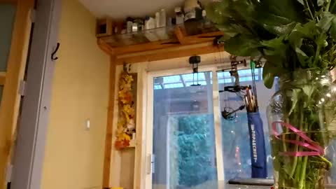 sir. Grummps online show from 02/14/26, 12:18