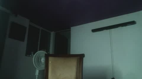 Snapshot of irisbell_ chatting on 01/05/25, 02:49 Camilla online show from 01/05/25, 02:49