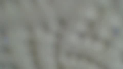 Snapshot of irishdude2483 chatting on 01/15/25, 06:33 Irishdude2483 online show from 01/15/25, 06:33