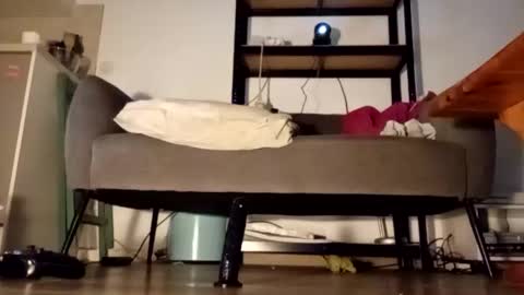 iron_cock40 online show from 04/24/26, 10:01