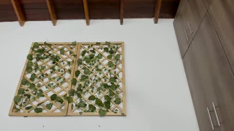 Snapshot of isabella_sweett_ chatting on 02/13/25, 10:22 Isabella online show from 02/13/25, 10:22