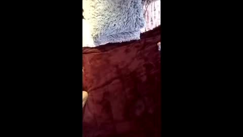 Snapshot of isaldatrans chatting on 04/16/26, 09:32 Ral online show from 04/16/26, 09:32