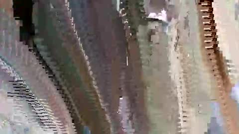 islandbey242 online show from 06/02/26, 03:14