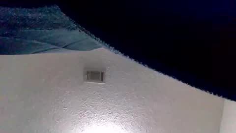 Snapshot of islandmaker chatting on 11/04/25, 02:10 islandmaker online show from 11/04/25, 02:10