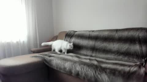 Issabelle online show from 02/09/25, 07:16