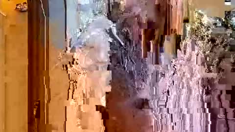 Snapshot of itsfoxie chatting on 01/18/26, 04:49 ItsFoxie online show from 01/18/26, 04:49