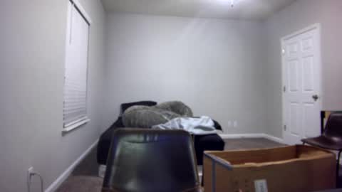 Snapshot of itstarzan chatting on 12/13/24, 07:04 TARZAN online show from 12/13/24, 07:04