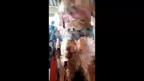 ivanaltrans62 online show from 01/11/26, 04:50