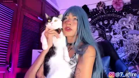   -    online show from 02/12/26, 11:55