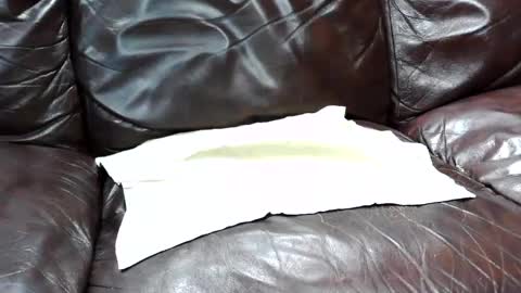 Snapshot of j0junkie chatting on 02/25/25, 07:03 j0junkie online show from 02/25/25, 07:03