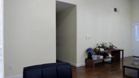 Mugen online show from 04/04/26, 09:23