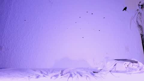 Snapshot of j_martony chatting on 11/05/25, 02:17 j_martony online show from 11/05/25, 02:17