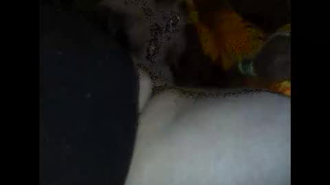 speedy online show from 04/09/26, 07:36