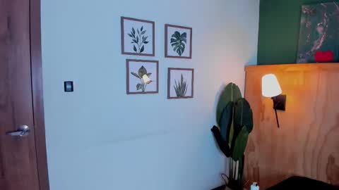 Snapshot of jabob_coper chatting on 11/25/25, 03:17 David online show from 11/25/25, 03:17