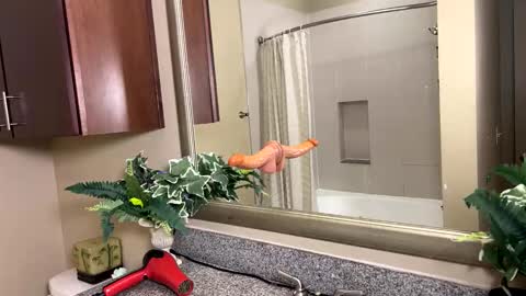 Jack Xavier  Missy online show from 02/12/26, 03:45