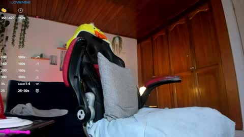 Jacob Stevens Cruz online show from 03/29/26, 10:54