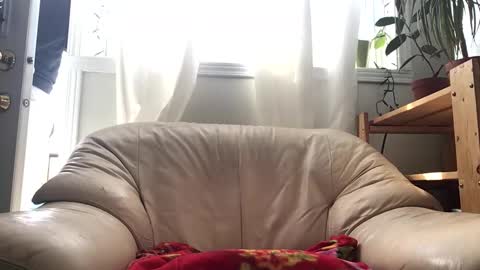 Jacob online show from 02/14/26, 04:59