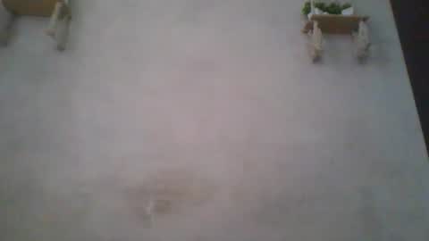 jacqueline_fernandez online show from 06/14/26, 05:09