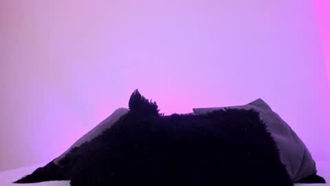 Snapshot of jade_james chatting on 12/20/24, 01:14 Mady online show from 12/20/24, 01:14