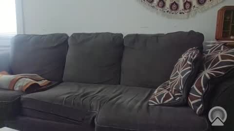 Jake online show from 11/20/25, 06:40