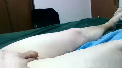 Snapshot of jakscoral chatting on 01/26/25, 09:29 Jaks online show from 01/26/25, 09:29