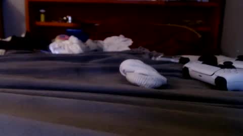 what you in too online show from 09/20/25, 02:23