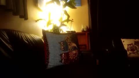 Snapshot of jamesloveridge901 chatting on 10/25/25, 02:24 jamesloveridge901 online show from 10/25/25, 02:24