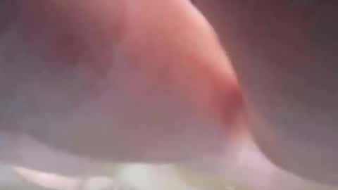 Snapshot of jamesmckendree chatting on 12/04/24, 02:48 jamesmckendree online show from 12/04/24, 02:48