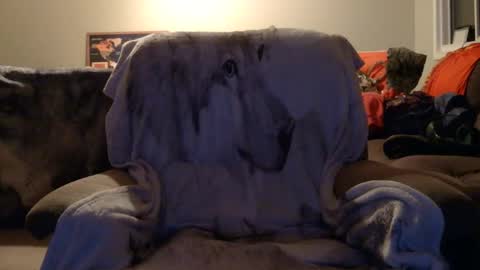 jameswolf777 online show from 12/16/25, 02:44