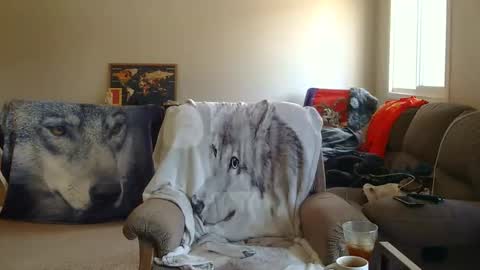 jameswolf777 online show from 12/22/25, 08:06