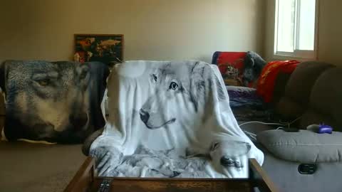 jameswolf777 online show from 02/05/26, 08:57