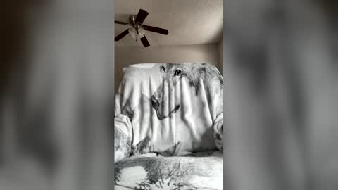jameswolf777 online show from 04/07/26, 07:03
