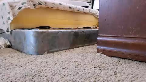 Bootyshows online show from 09/09/25, 12:26